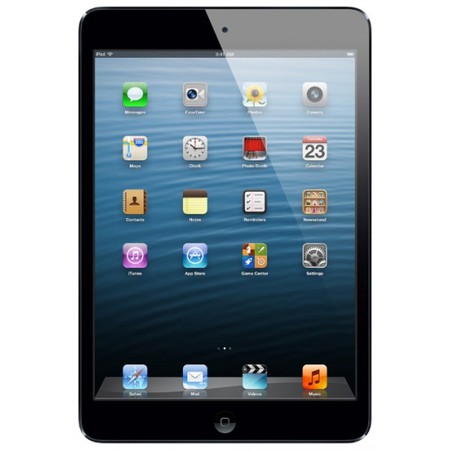 Apple iPad mini 64Gb Wi-Fi черный - Новороссийск
